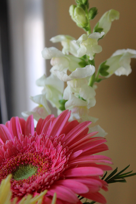 flowers1