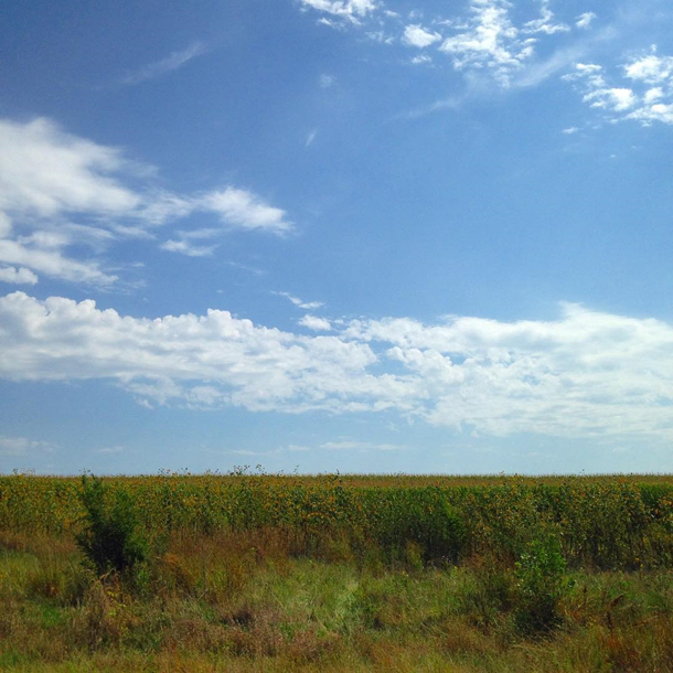 Gorgeous Big Sky Country!